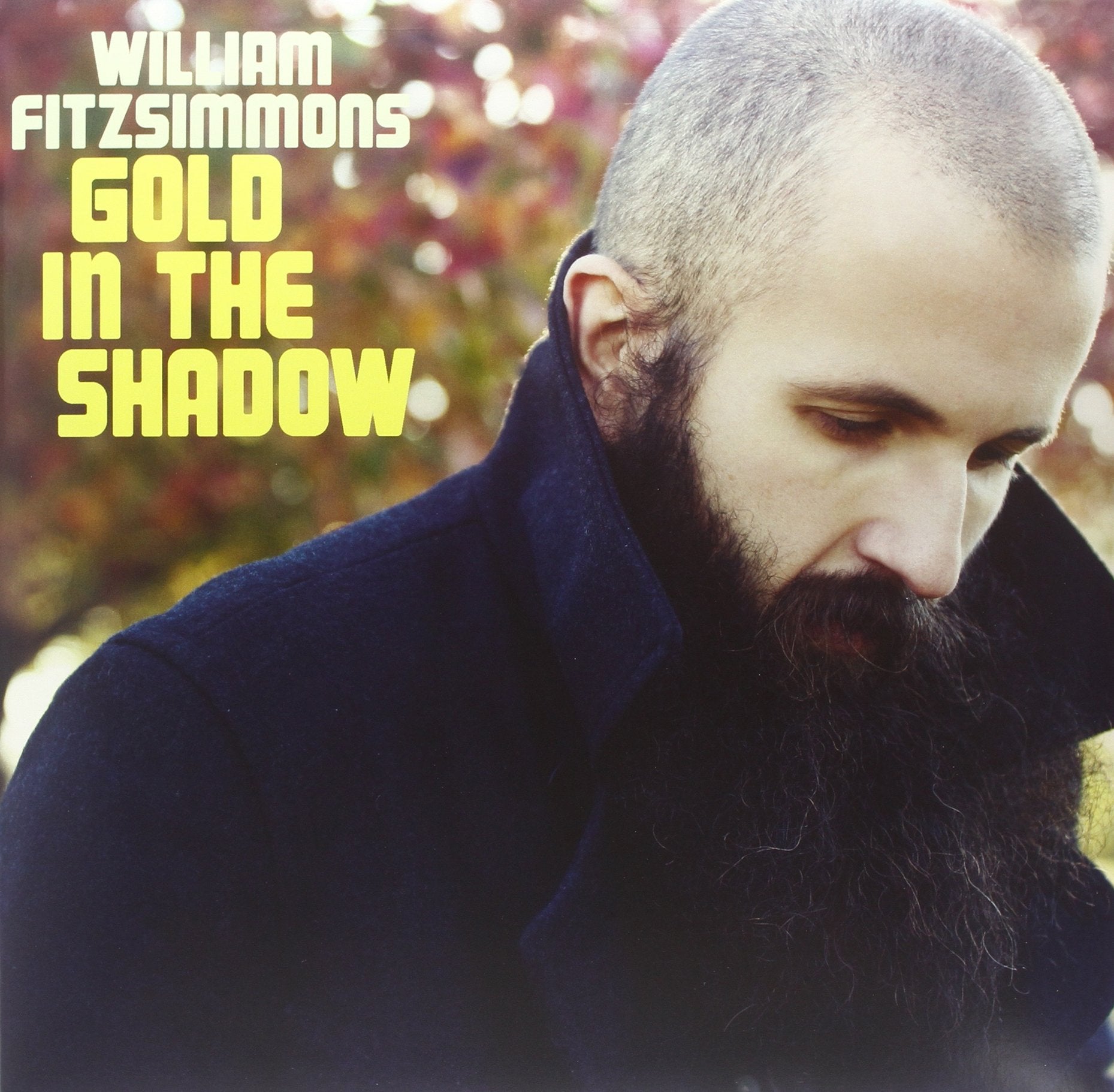 Product Image: Gold in the Shadow