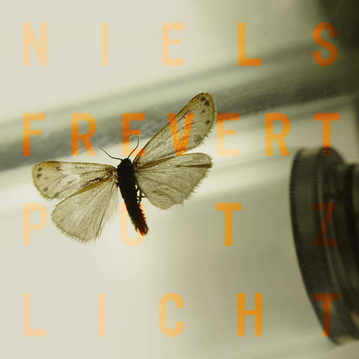 Product Image: Putzlicht
