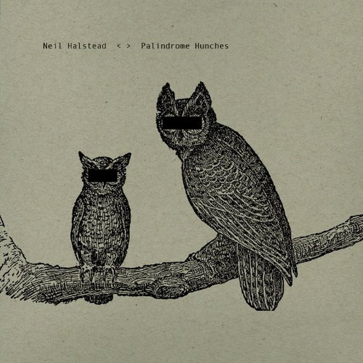Palindrome Hunches Alternative & Indie