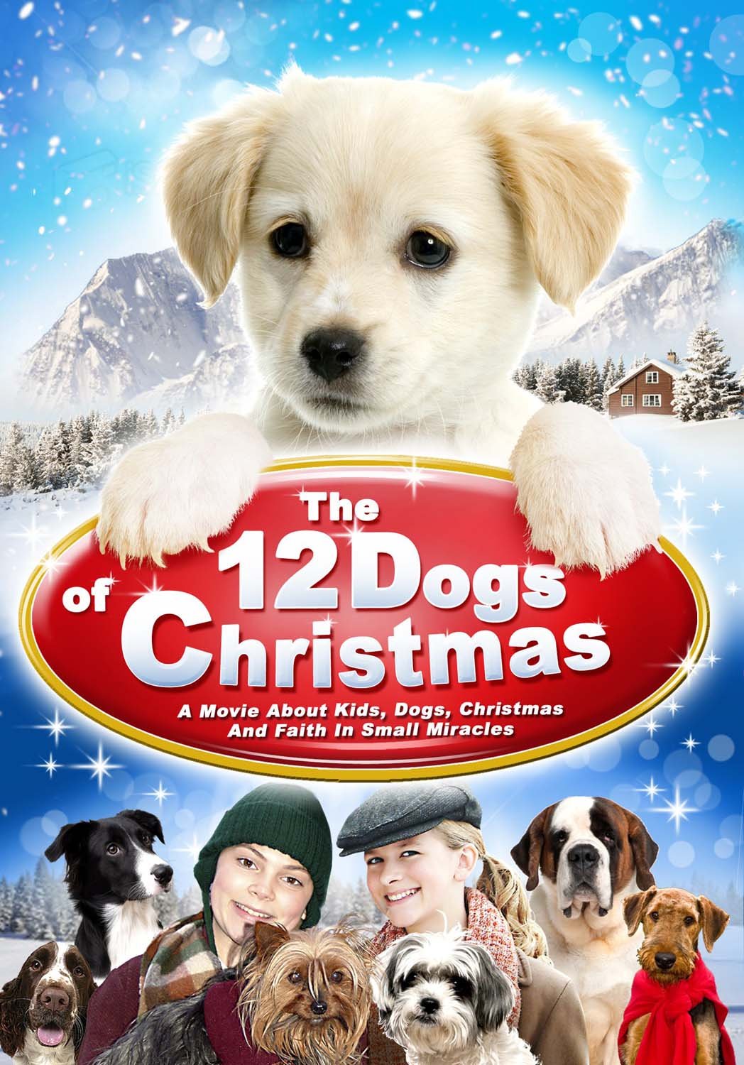 12 Dogs of Christmas (DVD) Films