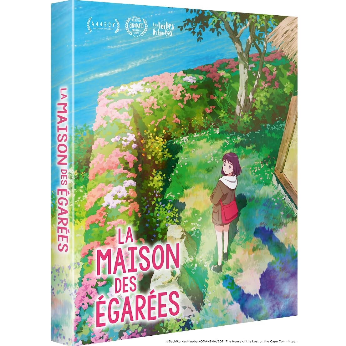 La Maison des égarées dvd