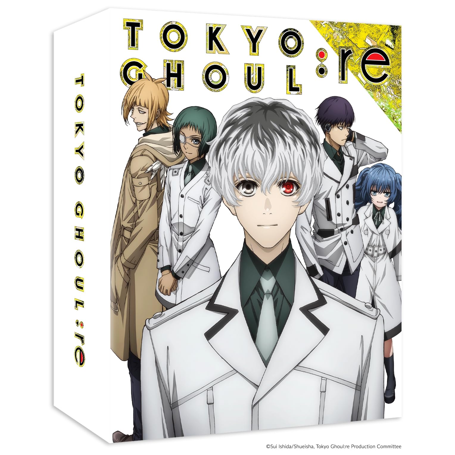 Tokyo Ghoul:re - Intégrale dvd