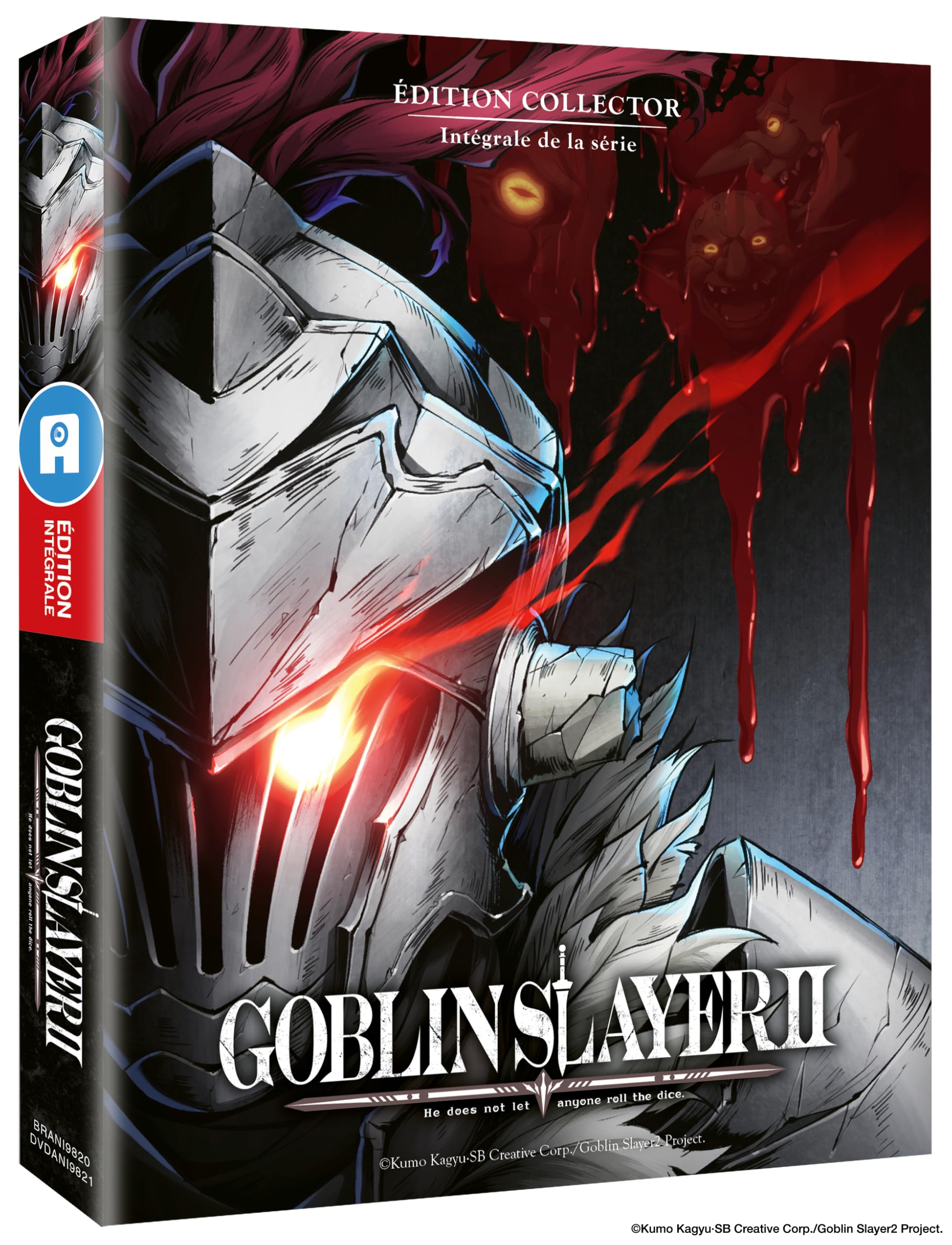 Goblin Slayer-Intégrale Saison 2 dvd