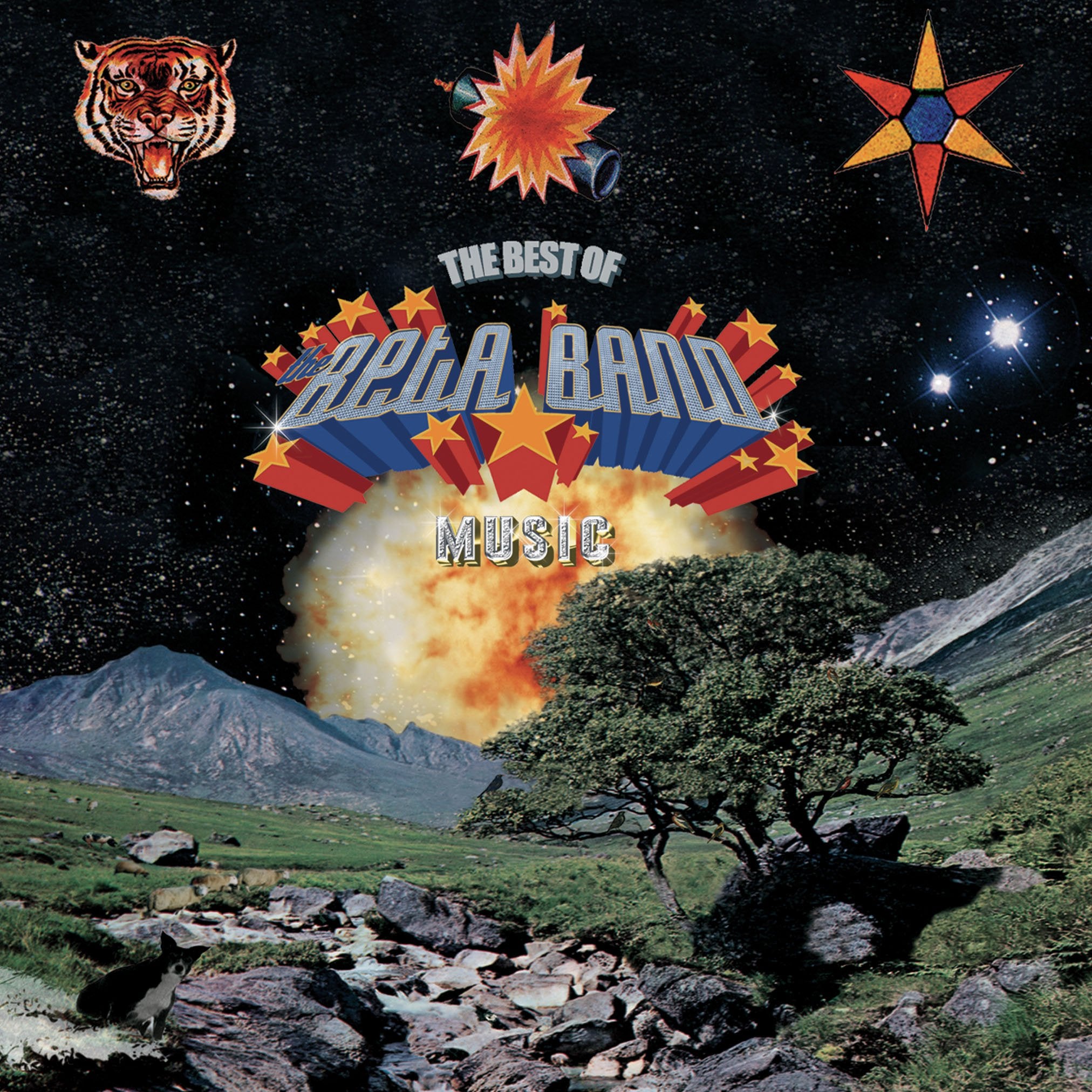 The Best of the Beta Band (2cd) Rock