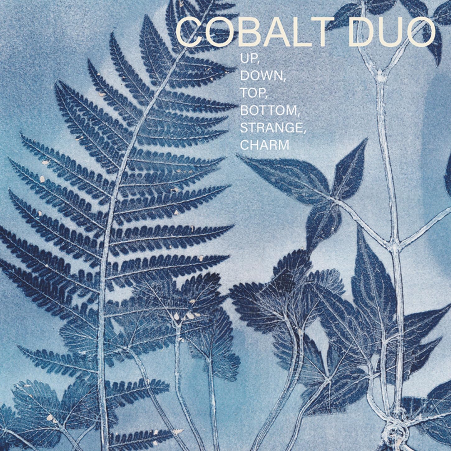 Cobalt Duo: Up,Down,Top,Bottom,Strange,Charm Classical