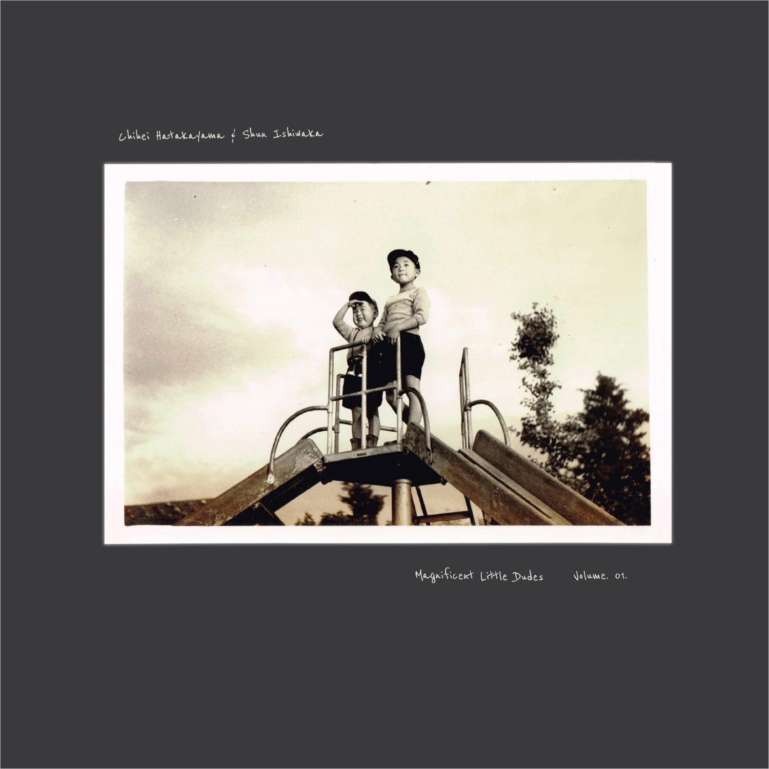 Magnificent Little Dudes - Volume 01 Dance & Electronic