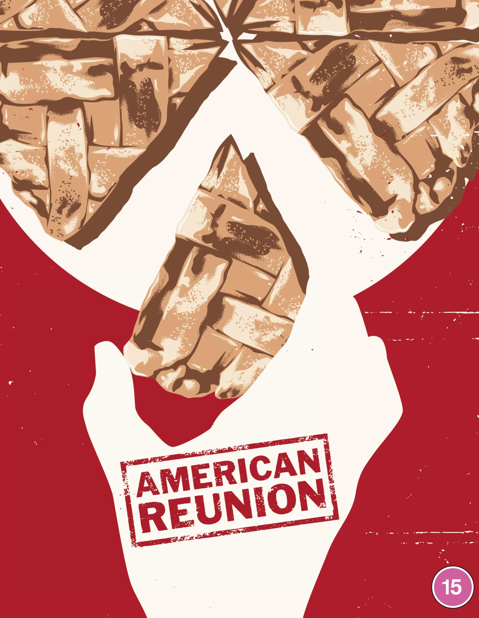 American Reunion - Deluxe Collector's Edition Films