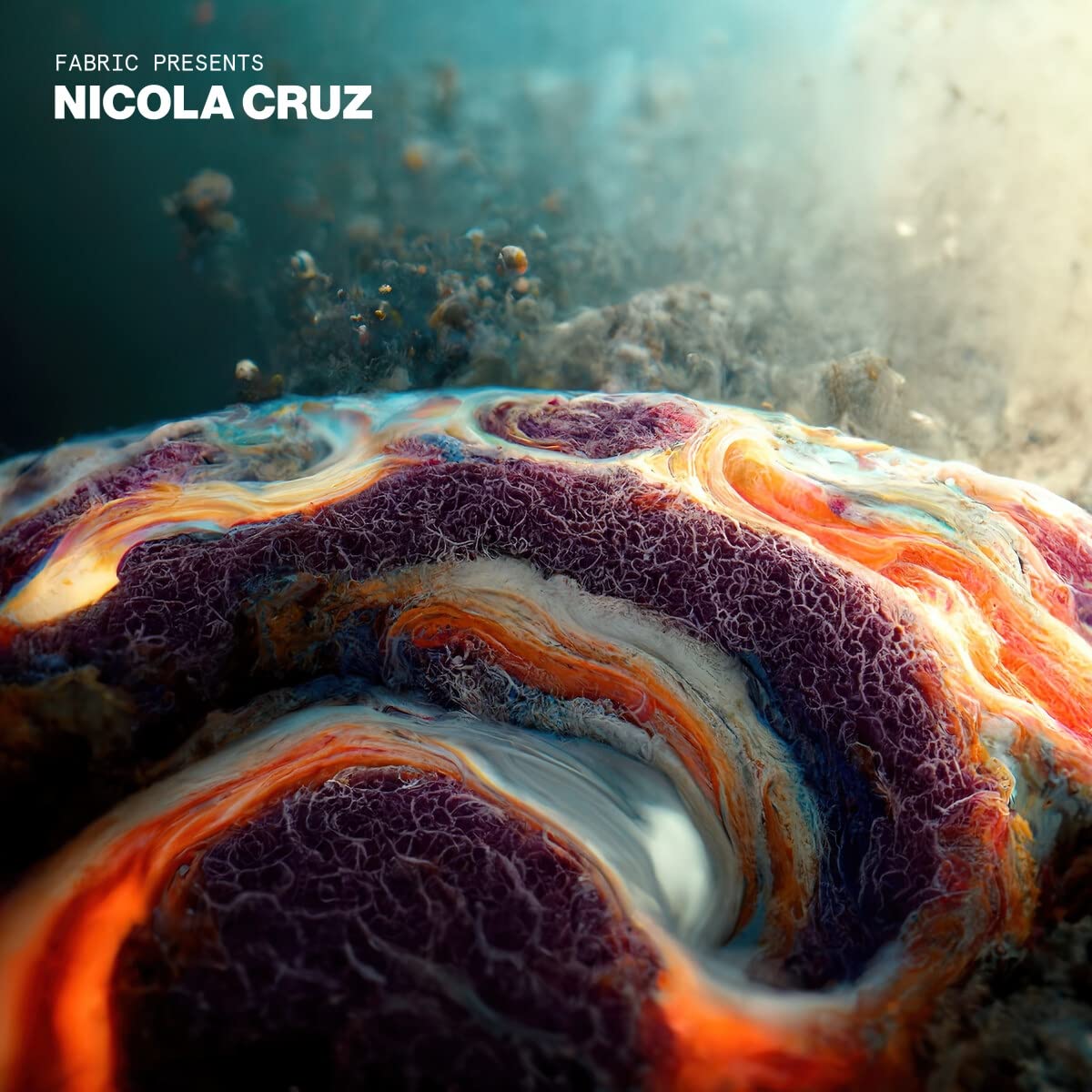 fabric presents Nicola Cruz cd