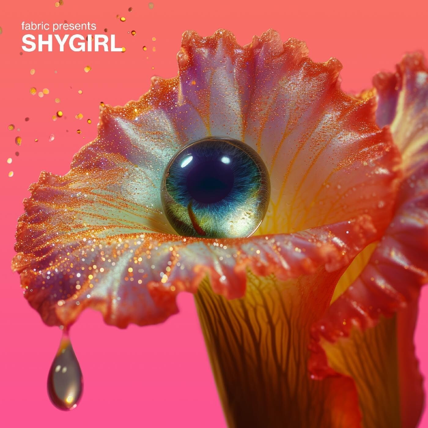 fabric presents Shygirl Soundtracks & Musicals