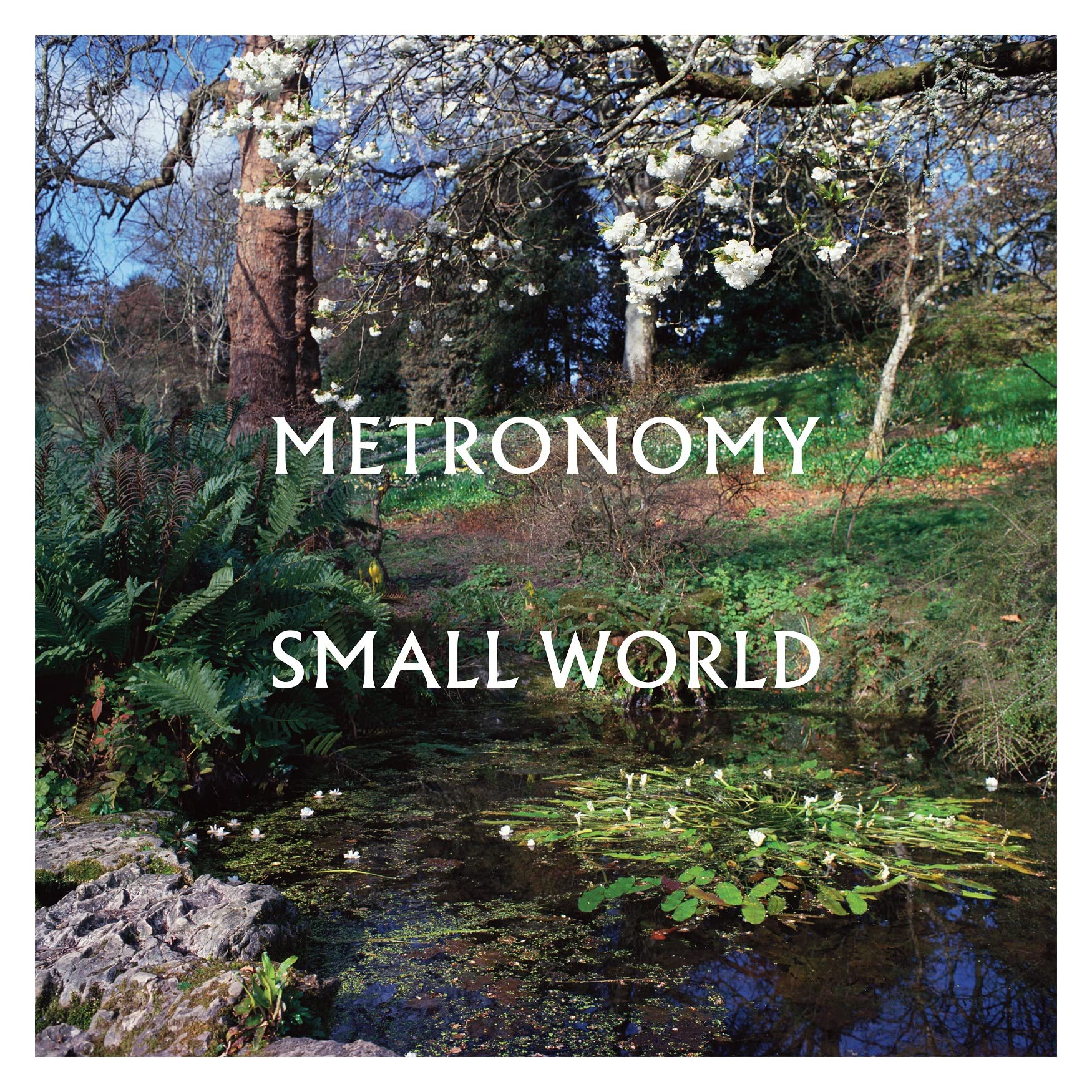 Small World Pop