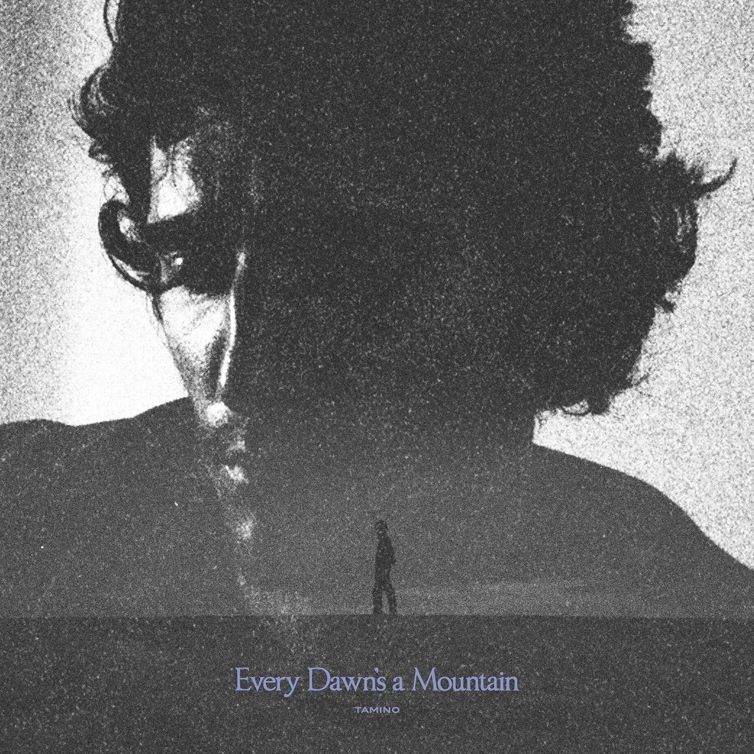 Product Image: Every Dawn's A Mountain ( LP)