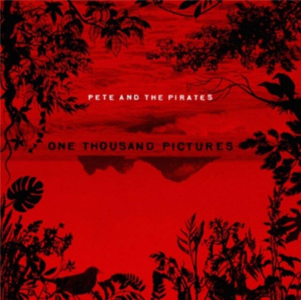 One Thousand Pictures Alternative & Indie