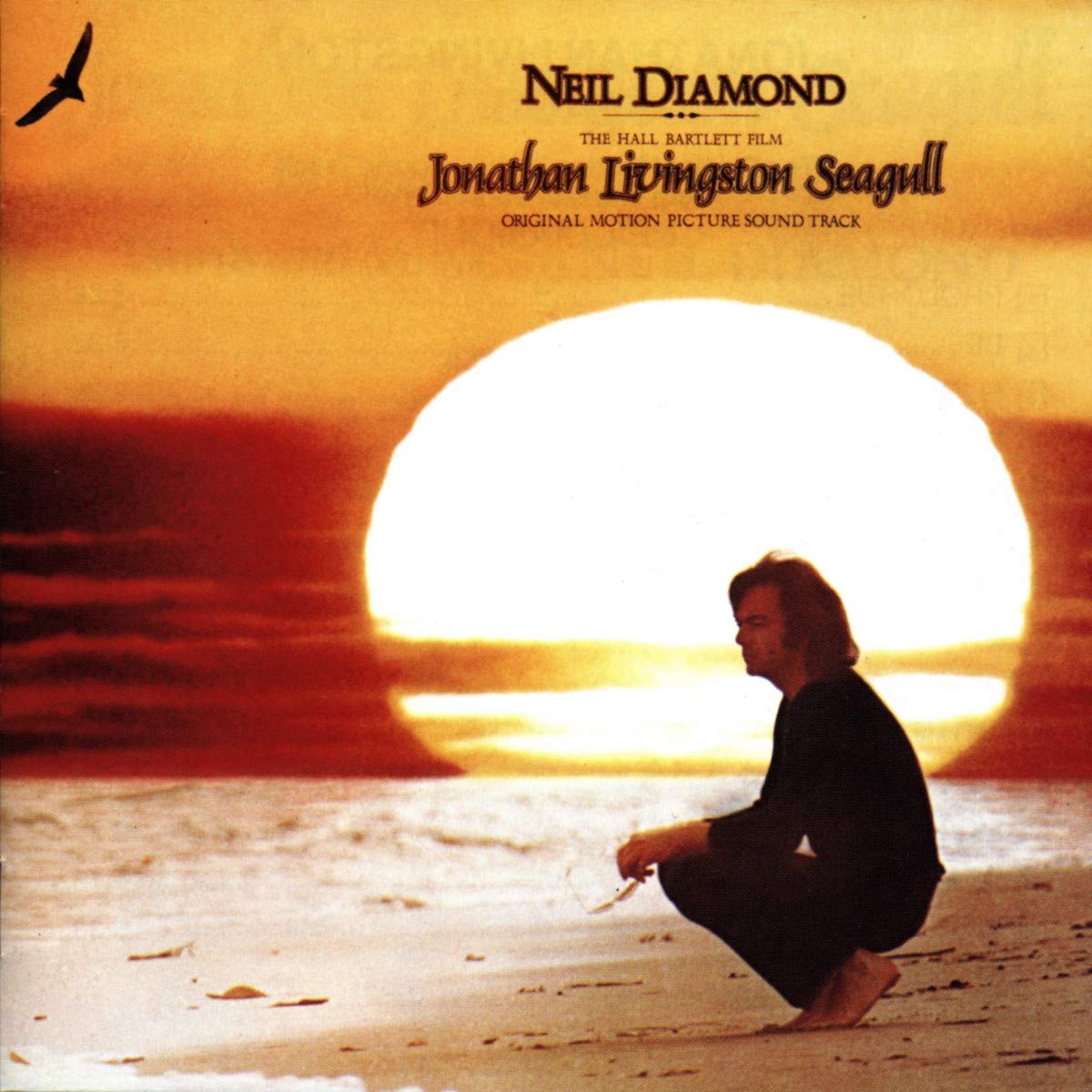 Product Image: Jonathan Livingston Seagull