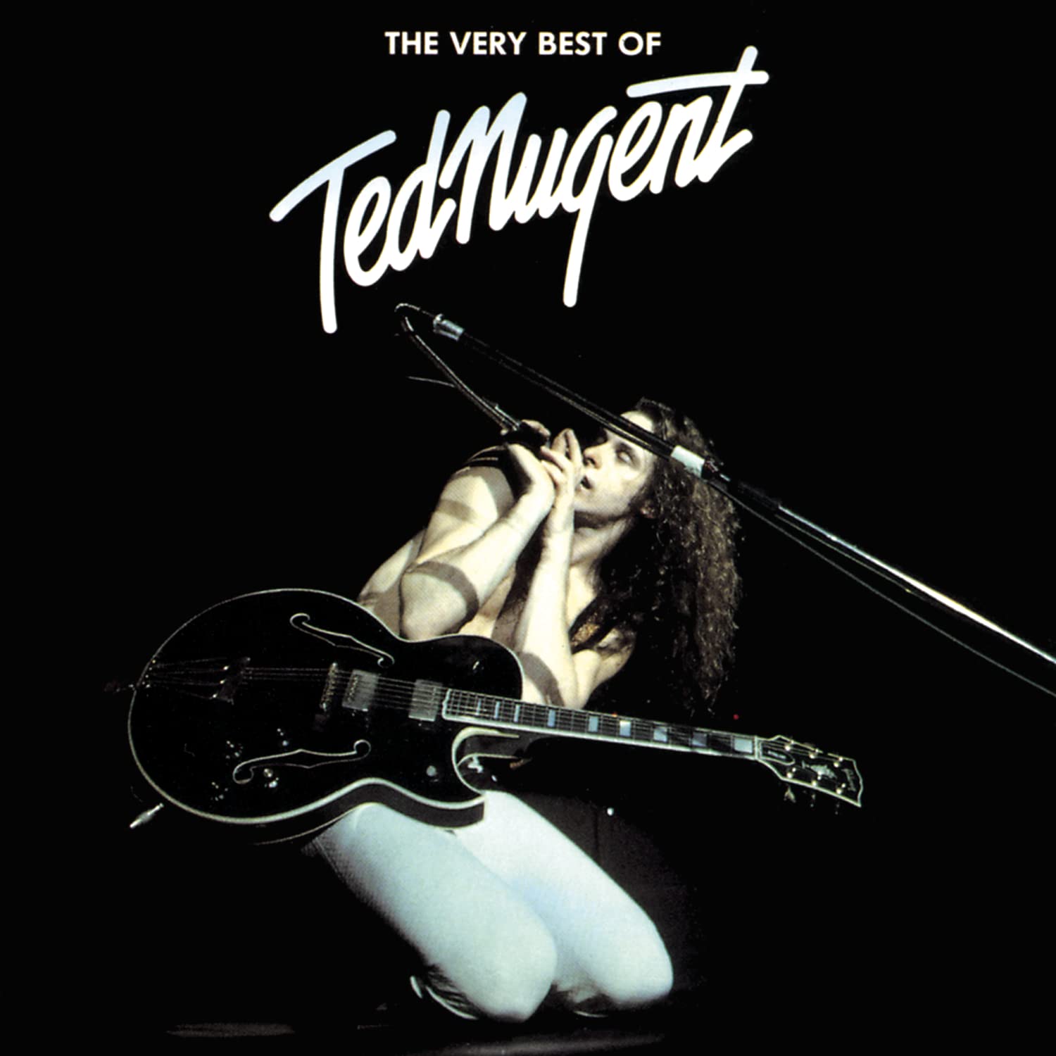 Best Of Ted Nugent,The Very Rock