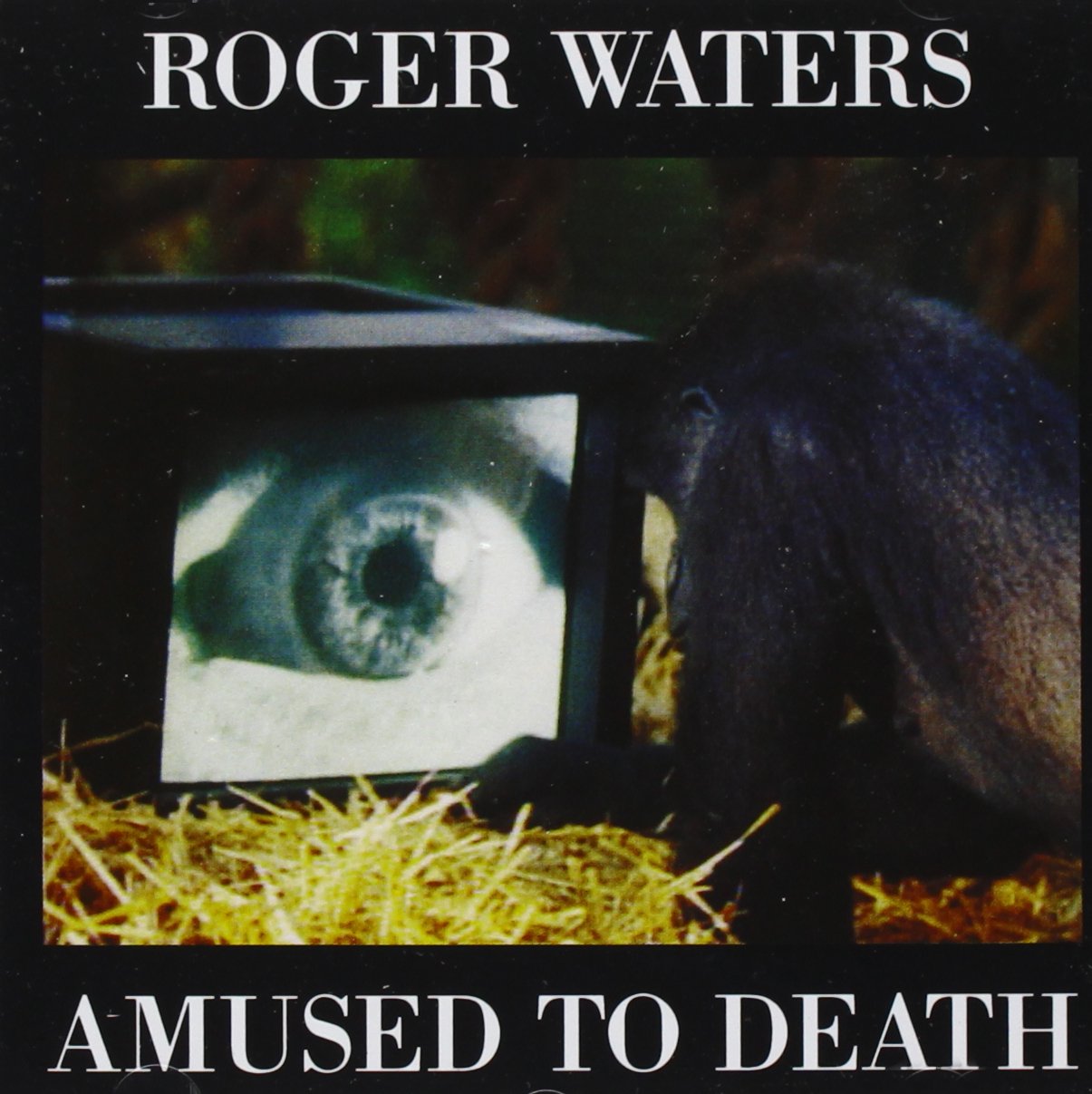 Product Image: Amused to Death