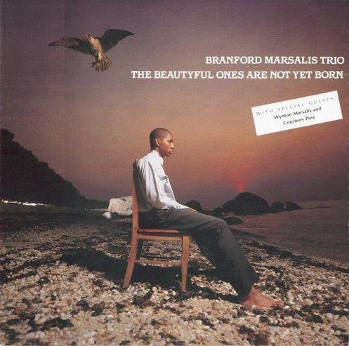 Product Image: Beautiful Ones Are..