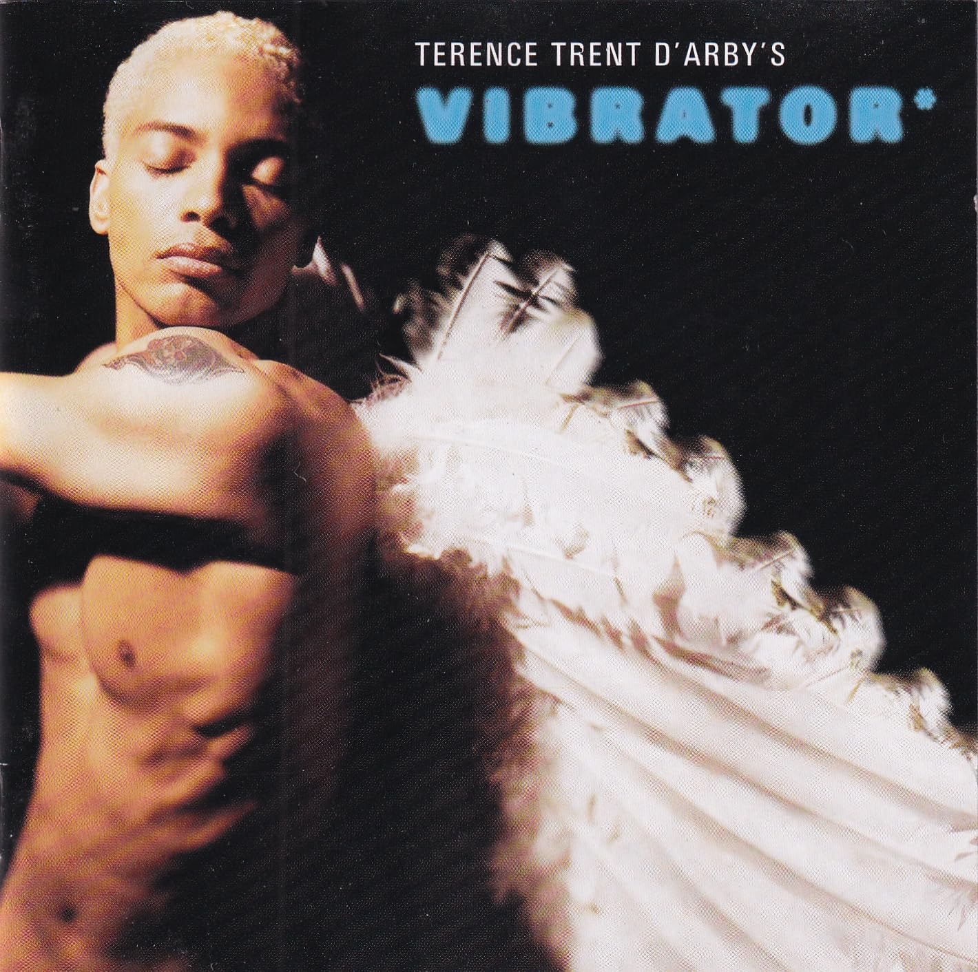 Product Image: Vibrator