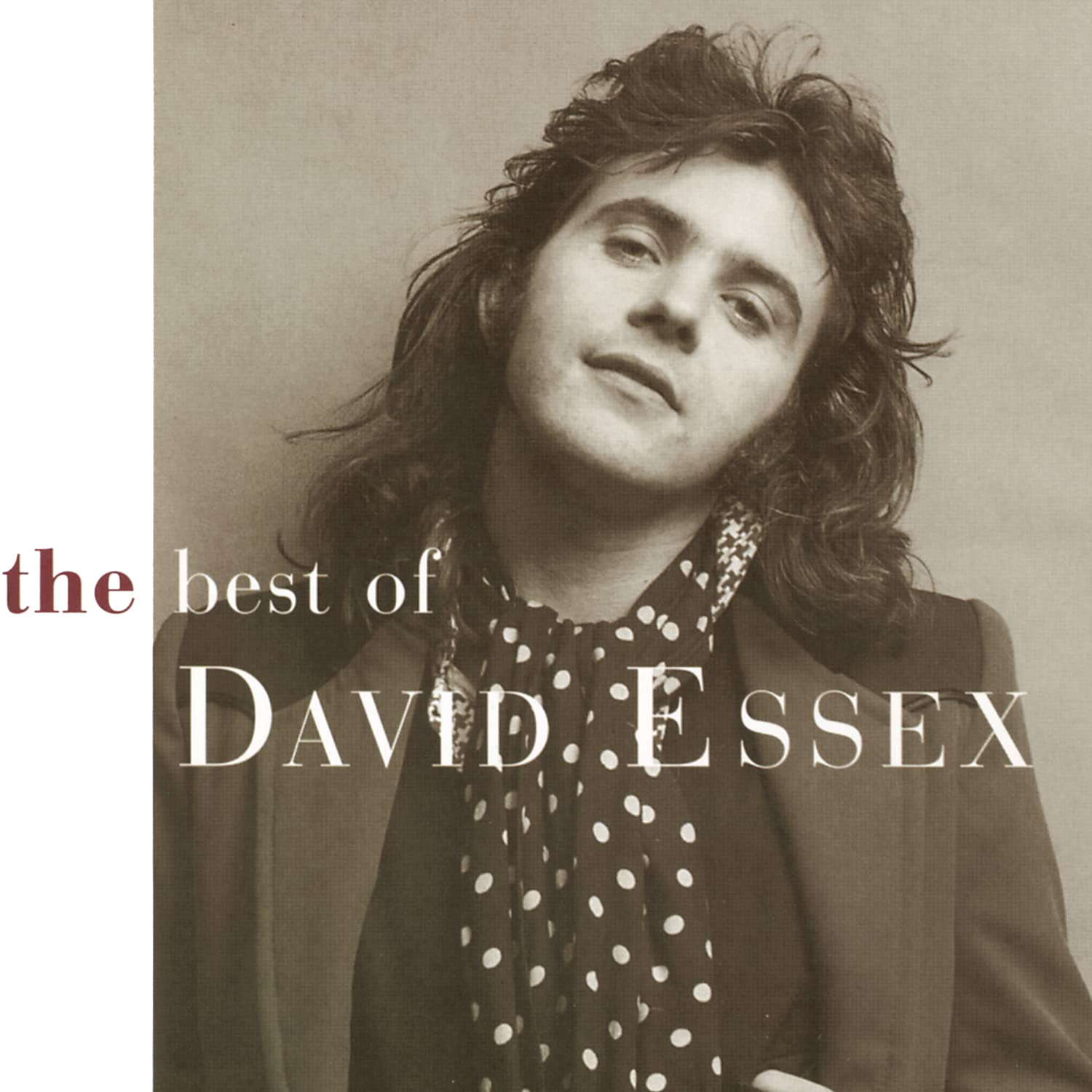 Best of David Essex Other music genres