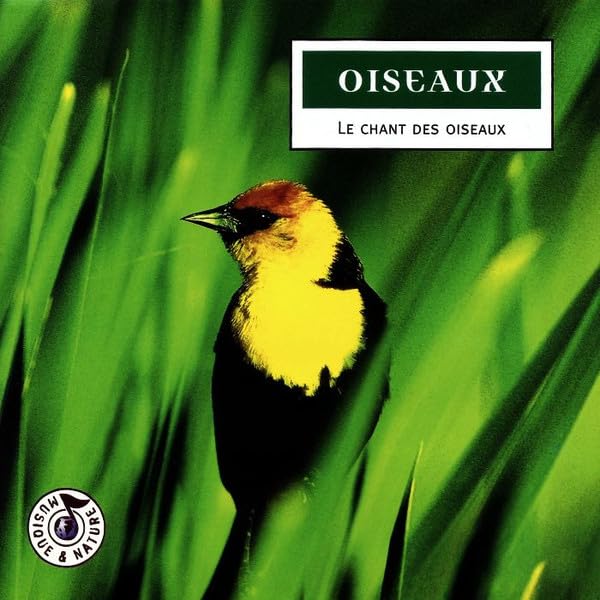 Oiseaux : Le chant des oiseaux Other music genres