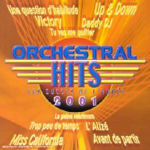 Orchestra hits : les succès de l'année 2001 cd