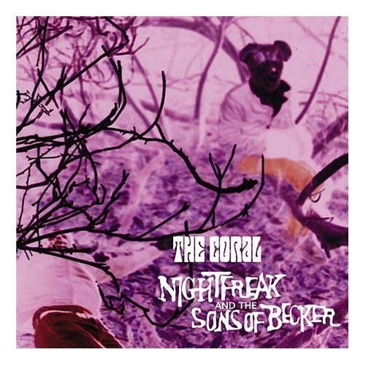 Nightfreak and the Sons of Becker Alternative & Indie