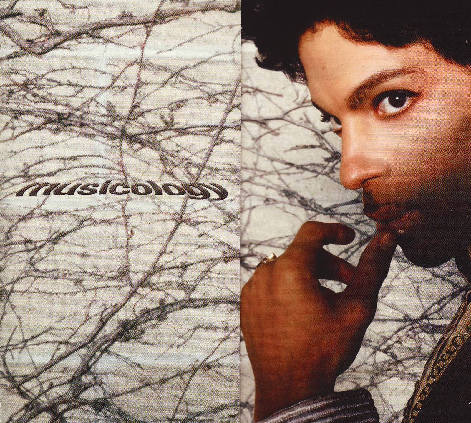 Musicology Dance & Electronic