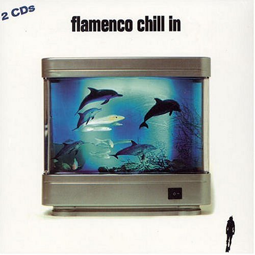 Flamenco Chill in Pop
