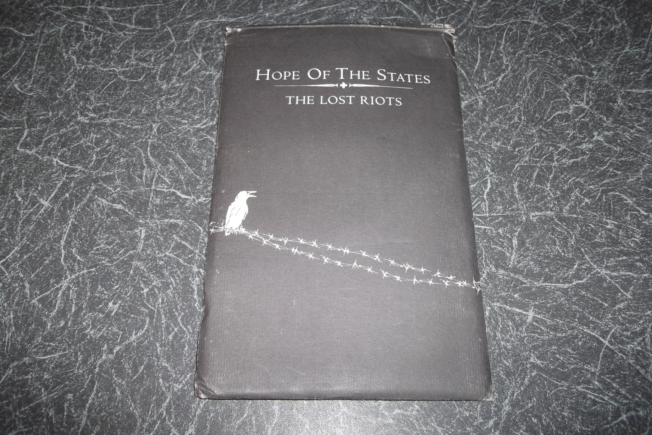 The Lost Riots Alternative & Indie