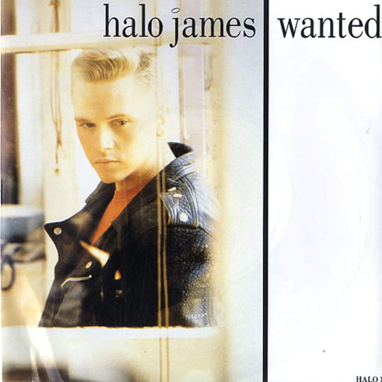 Wanted (1989) / Vinyl single Music