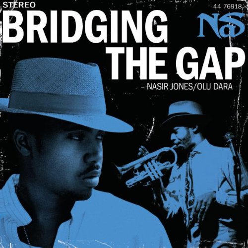 Product Image: Bridging the Gap