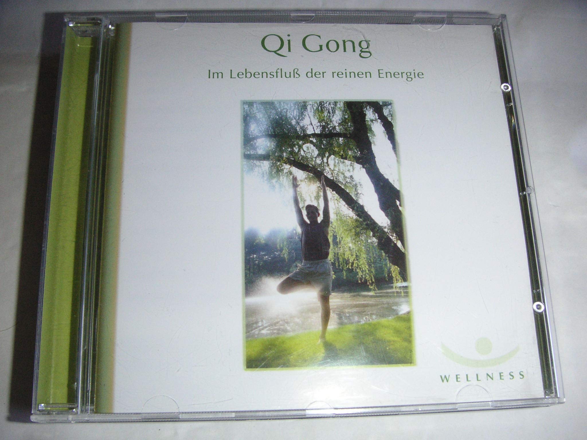 Qi Gong. Im Lebensfluß der reinen Energie. Sony Music Wellness Music