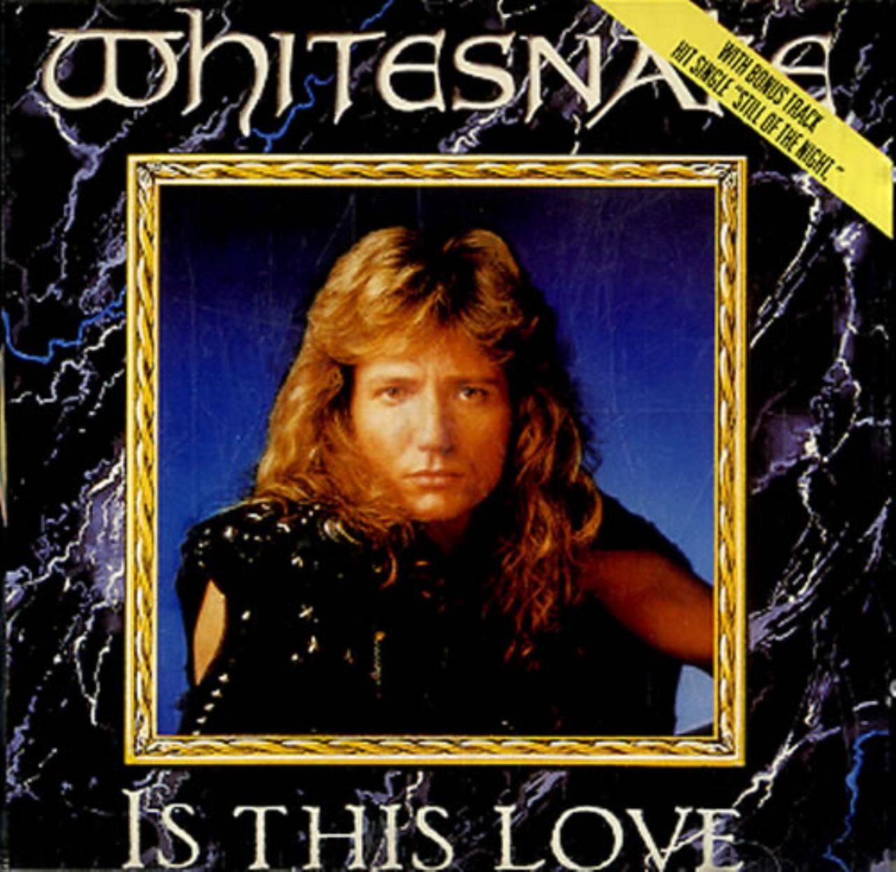 Is This Love (1989 UK CD Single In Slicase) Music
