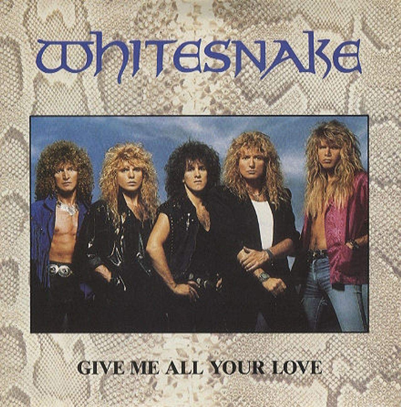 Give Me All Your Love / Fool For Your Loving (Incl. Product Fact) Music