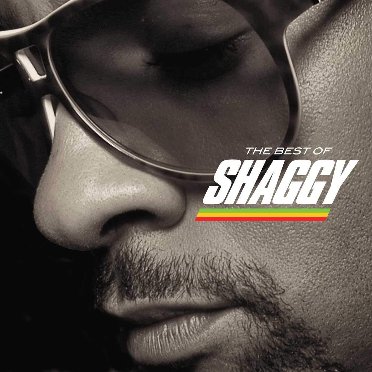 The Best Of Shaggy Pop