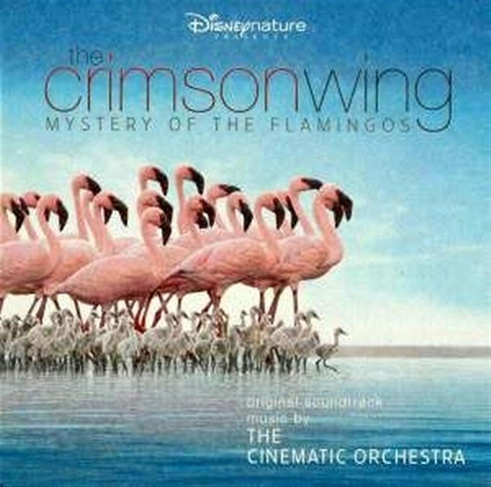 The Crimson Wing - Mystery of the Flamingos Dance & Electronic
