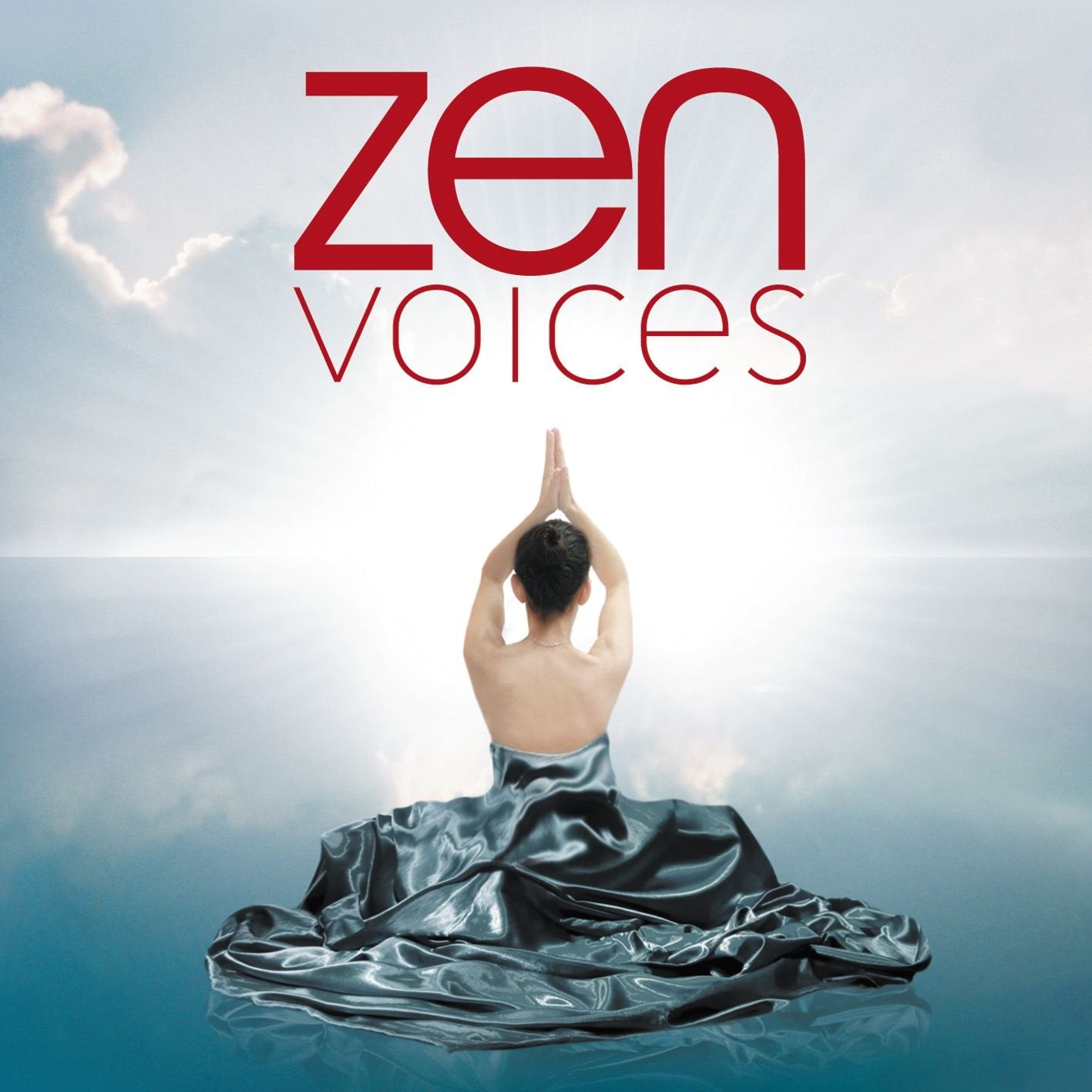 Product Image: Zen Voices