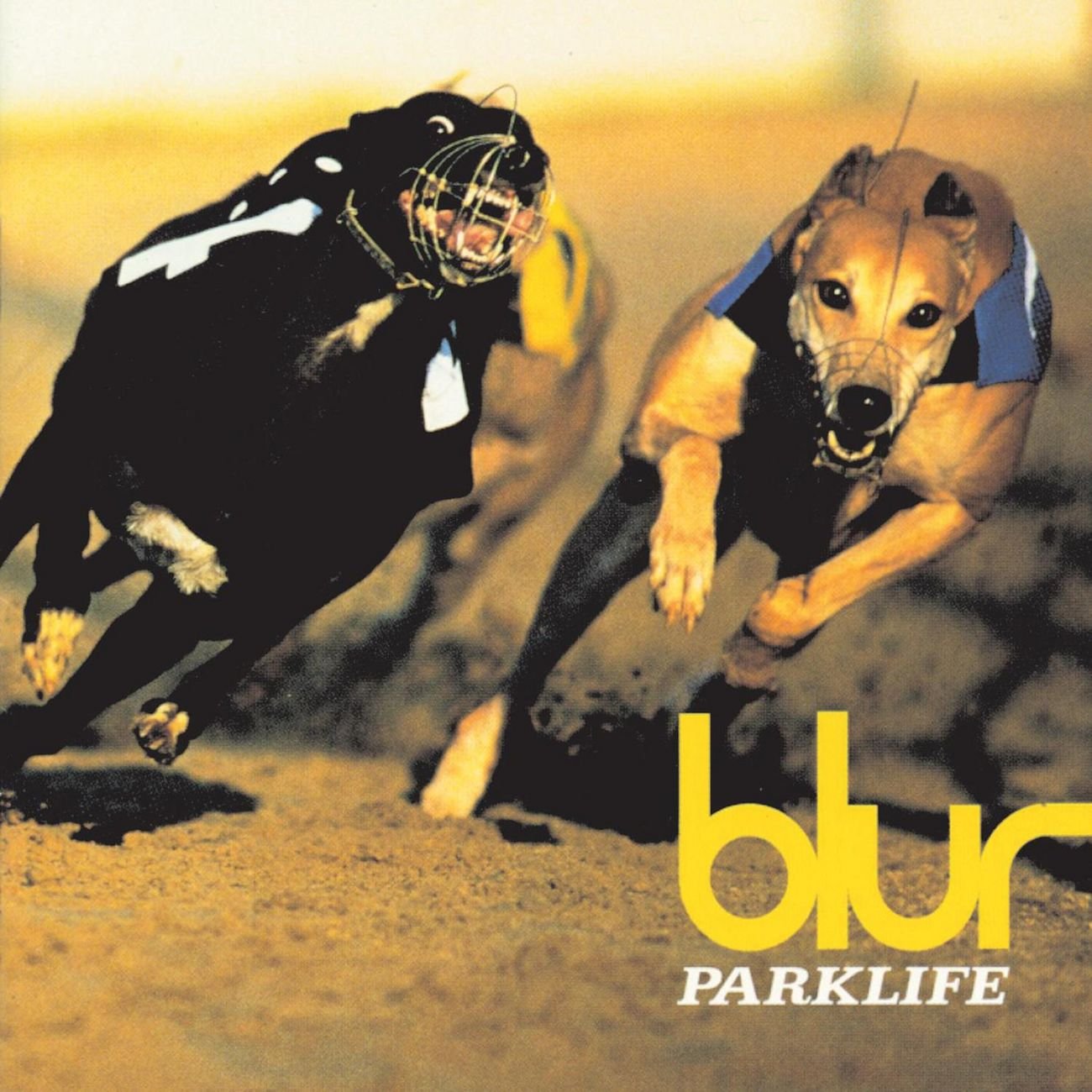 Parklife (Special Edition) Rock