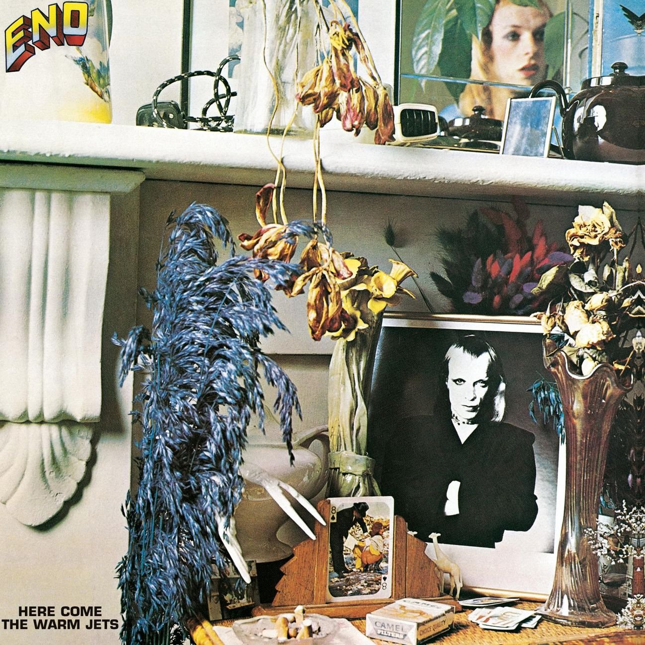 Product Image: Here Come The Warm Jets (2004 Remastered)