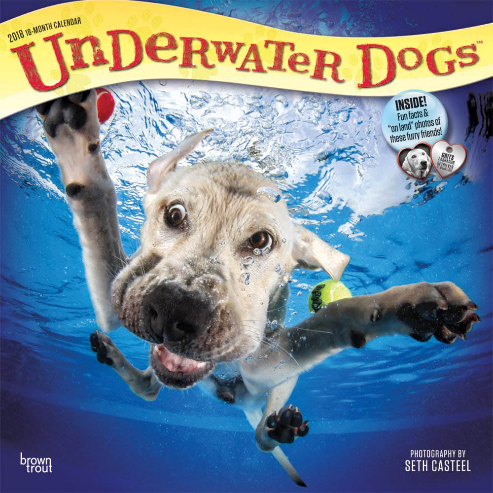 Underwater Dogs 2018 Calendar book