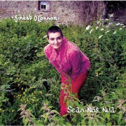 Sean-Nos-Nua,1 Audio-CD Books