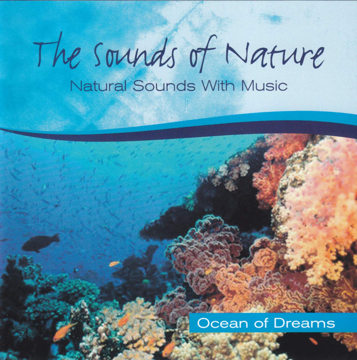 Ocean of Dreams Music