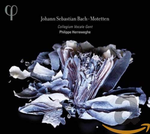 Bach: Motetten BWV 225-230 Classical