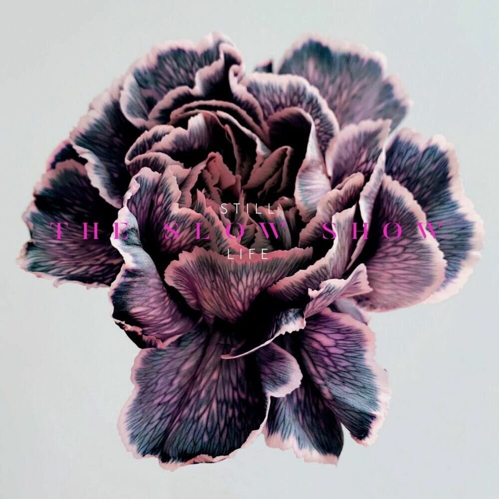 Still Life Alternative & Indie