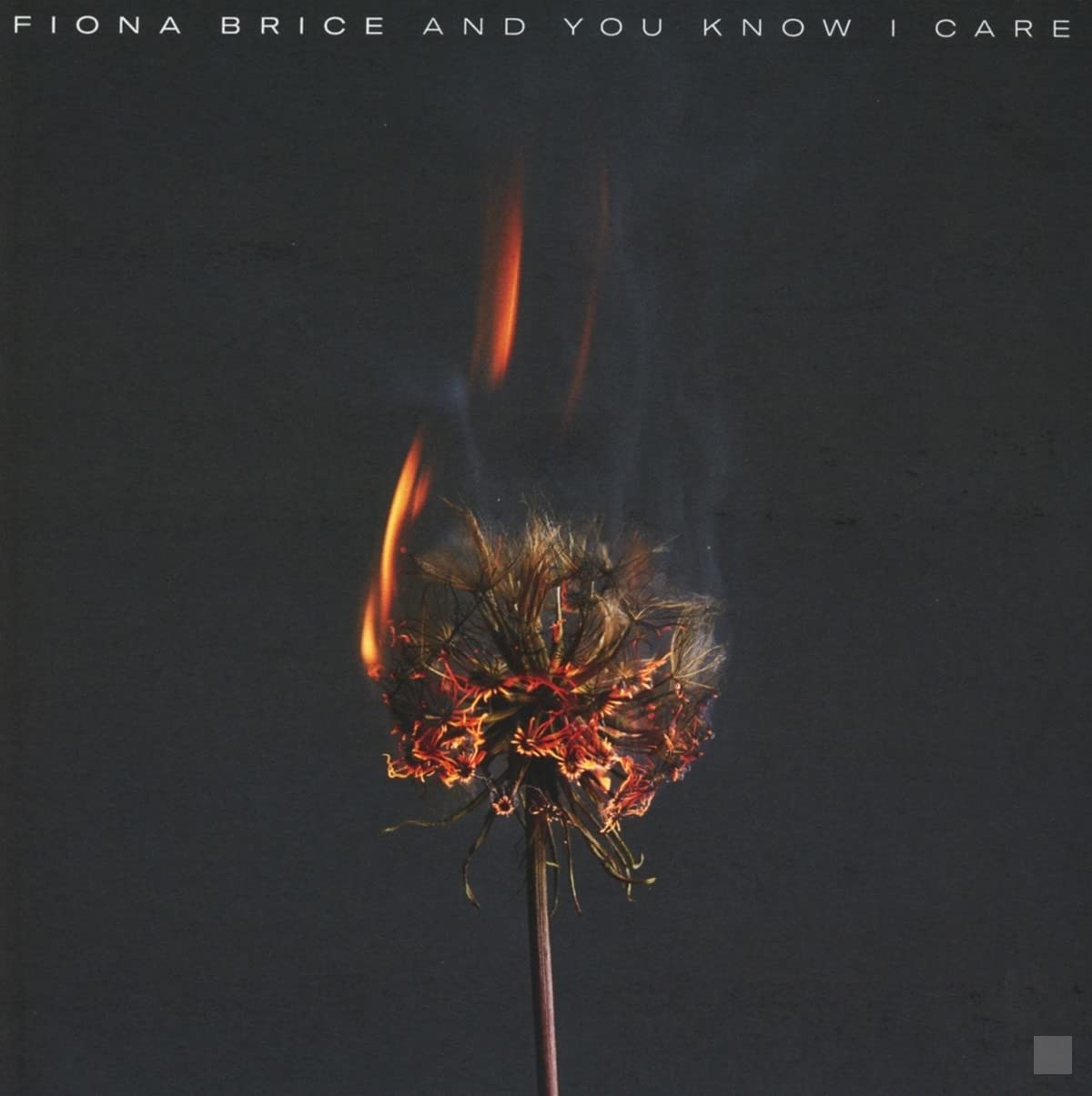 And You Know I Care Alternative & Indie