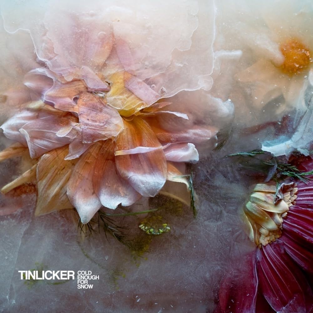 Cold Enough For Snow Dance & Electronic