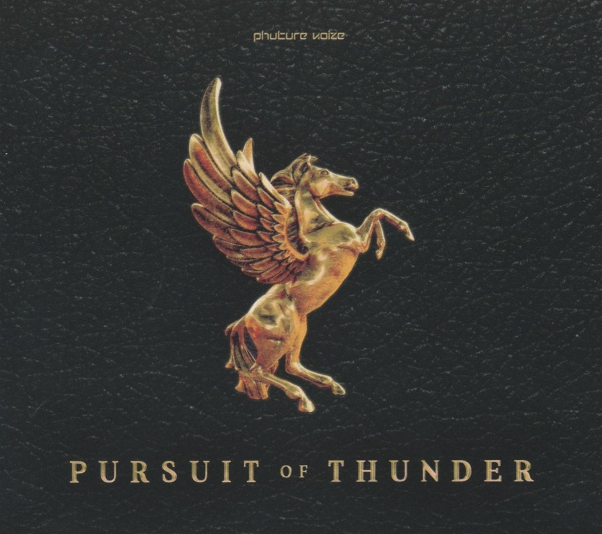 Pursuit Of Thunder Dance & Electronic