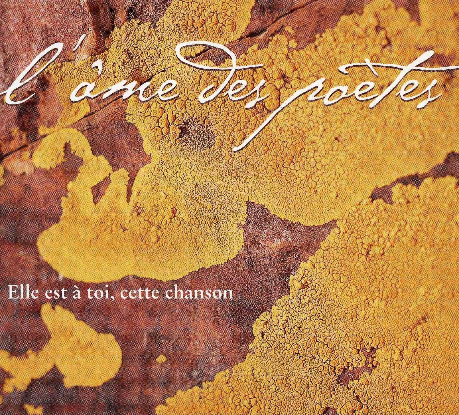 Elle Est a Toi,Cette Chanson Jazz