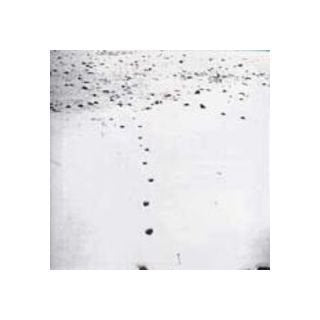 Folds & Rhizomes-a Tribute to Gilles Deleuze Alternative & Indie