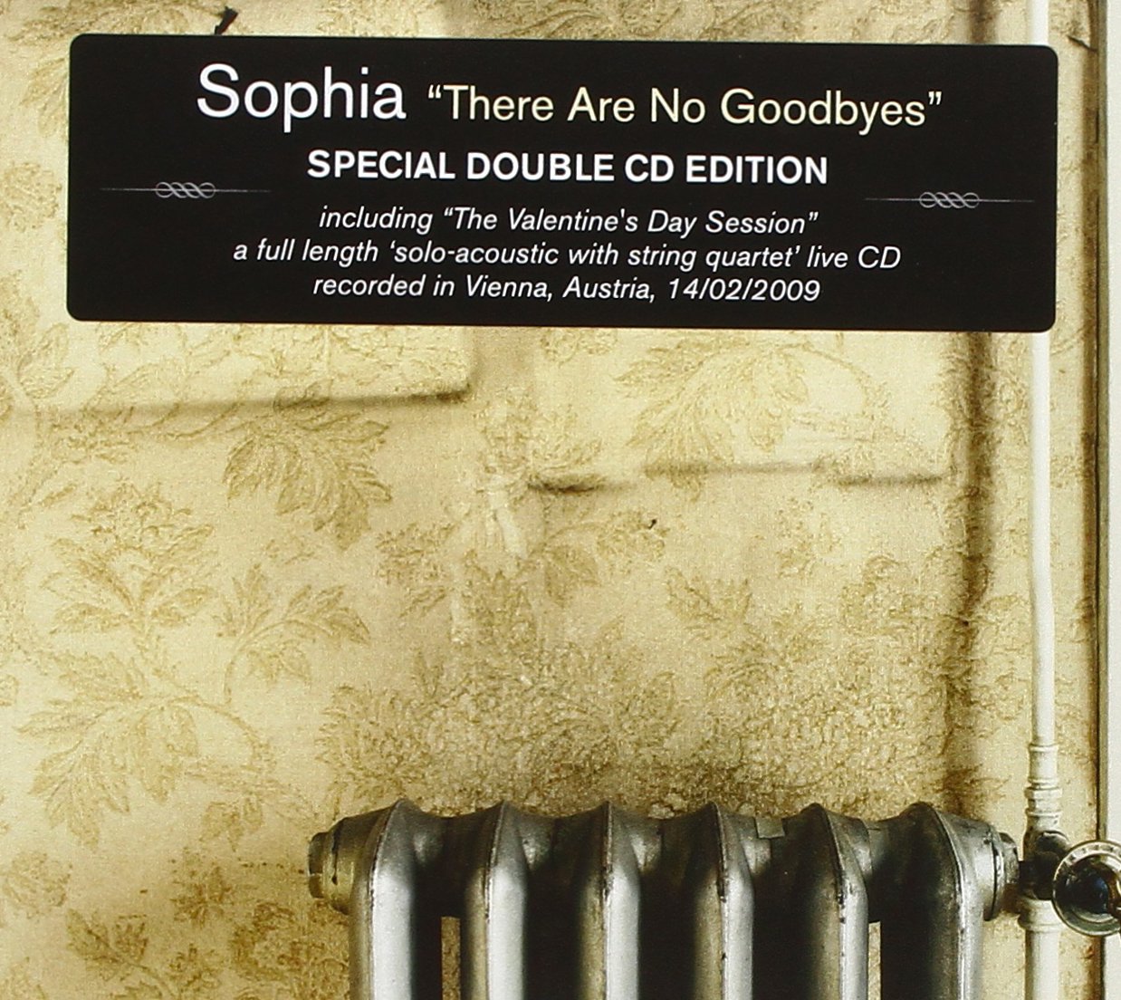 Product Image: There Are No Goodbyes