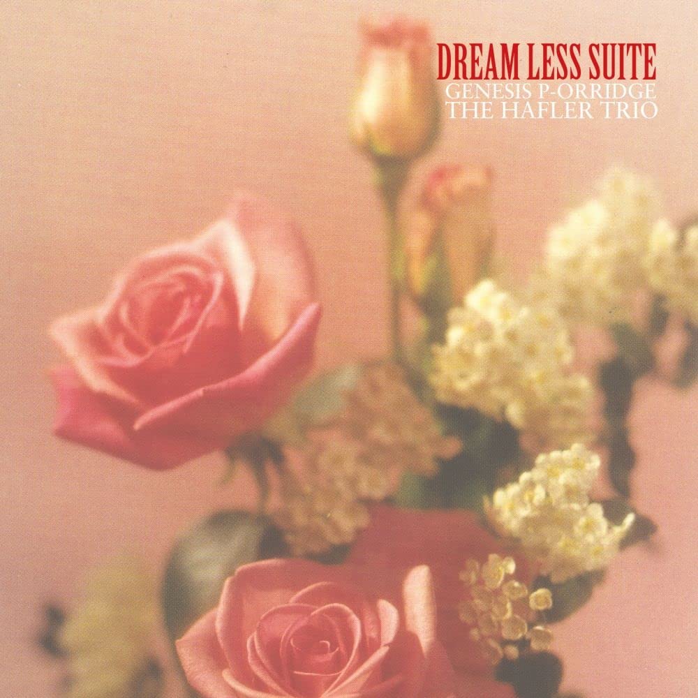 Dream Less Suite (2lp) Metal & Hardrock